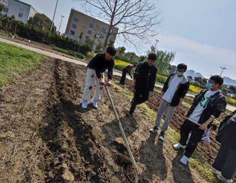 說(shuō)明: D:\教科室\教科室2022年工作\2022年課程基地\2022.3.30種植體驗(yàn)（板藍(lán)根和紫花地?。‐IMG_20220330_094921.jpg