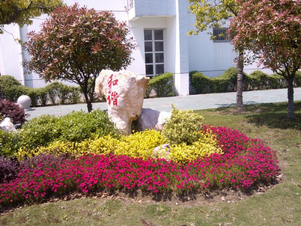 校園美景 校園美景