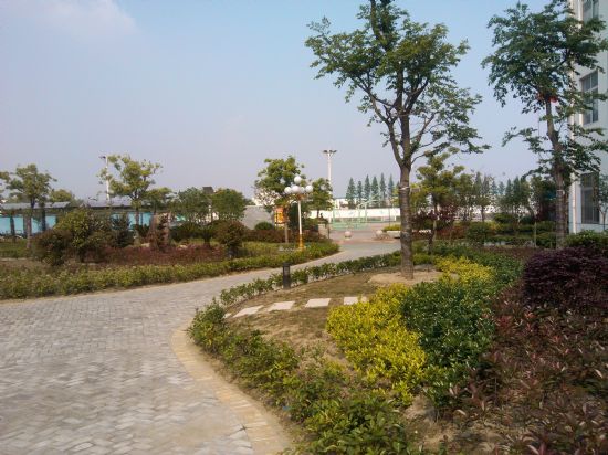 校園美景 校園美景