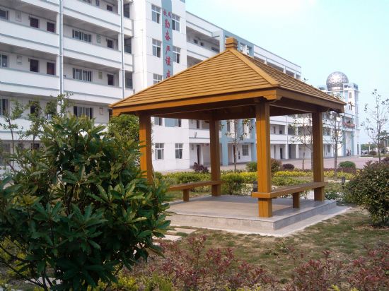 校園美景 校園美景