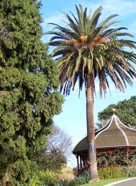 澳大利亞旅修專題報道(二) 澳大利亞旅修專題報道(二)