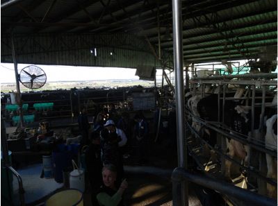 澳大利亞旅修專題報(bào)道(九) 澳大利亞旅修專題報(bào)道(九)