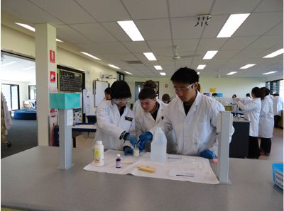 澳大利亞旅修專題報道(十) 澳大利亞旅修專題報道(十)