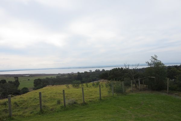 KING湖、考拉、蚊子及其它