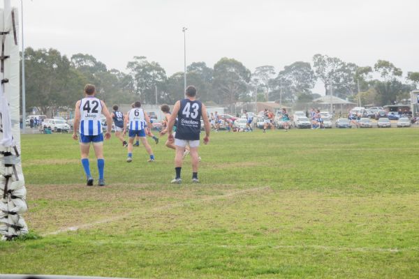 KING湖、考拉、蚊子及其它