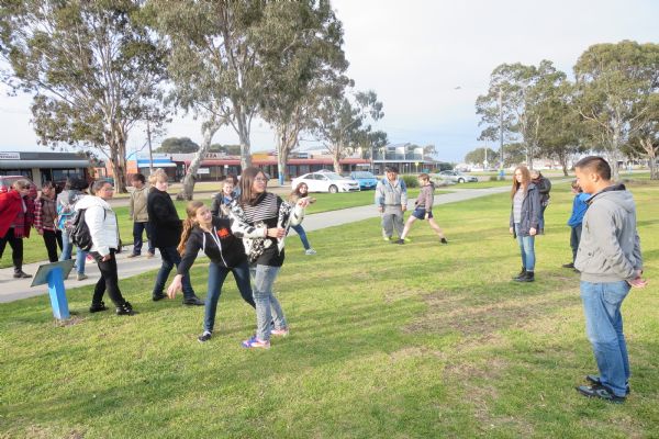 KING湖、考拉、蚊子及其它