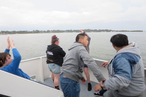 KING湖、考拉、蚊子及其它