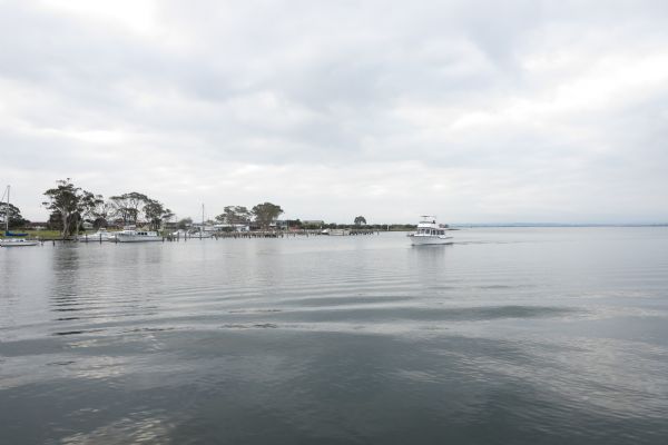 KING湖、考拉、蚊子及其它