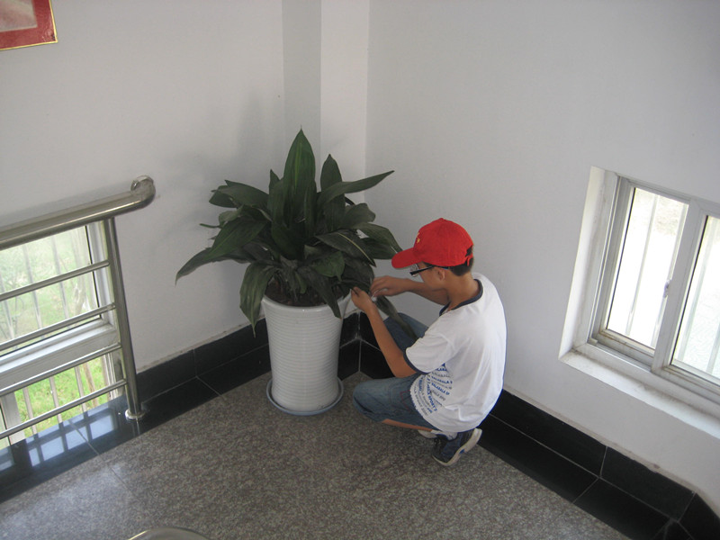 我校志愿者開展活動-----讓花草更美更絢爛 我校志愿者開展活動-----讓花草更美更絢爛