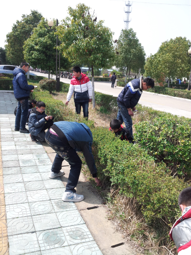 學(xué)校組織志愿者開(kāi)展義務(wù)撿垃圾行動(dòng) 學(xué)校組織志愿者開(kāi)展義務(wù)撿垃圾行動(dòng)