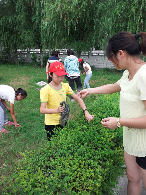 我校志愿者開展拔草活動 我校志愿者開展拔草活動
