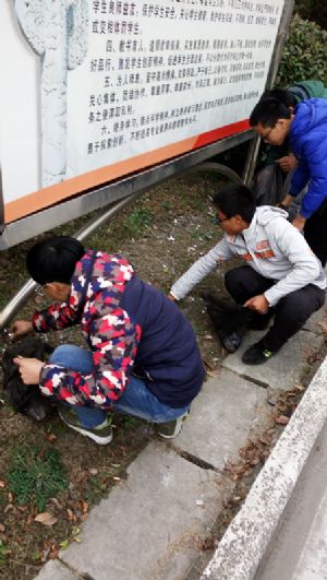 我校團(tuán)委組織青年志愿者參加美化校園義務(wù)勞動 我校團(tuán)委組織青年志愿者參加美化校園義務(wù)勞動