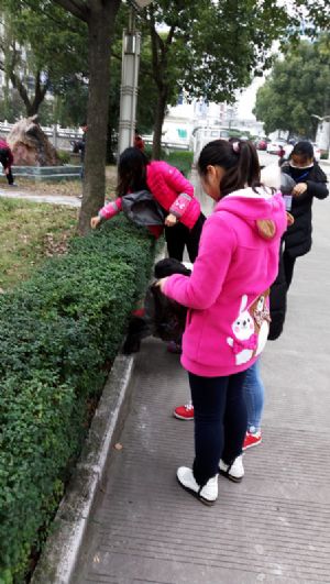 我校團(tuán)委組織青年志愿者參加美化校園義務(wù)勞動 我校團(tuán)委組織青年志愿者參加美化校園義務(wù)勞動