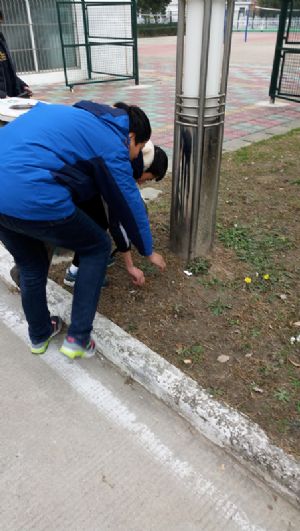 我校團(tuán)委組織青年志愿者參加美化校園義務(wù)勞動 我校團(tuán)委組織青年志愿者參加美化校園義務(wù)勞動