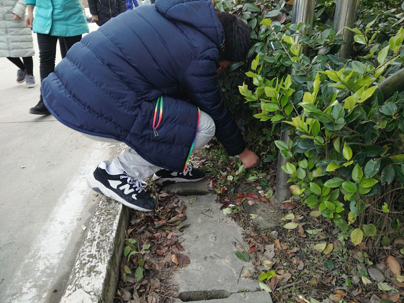 團(tuán)委組織青年志愿者義務(wù)清理校園 團(tuán)委組織青年志愿者義務(wù)清理校園